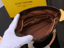 Load image into Gallery viewer, LOUIS VUITTON M51172
