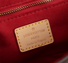 Load image into Gallery viewer, LOUIS VUITTON M69813
