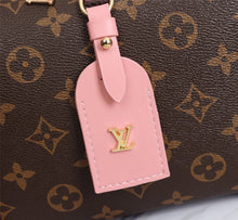 Load image into Gallery viewer, LOUIS VUITTON M45571 PETITE MALLE SOUPLE
