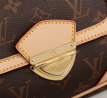 Load image into Gallery viewer, LOUIS VUITTON M69813
